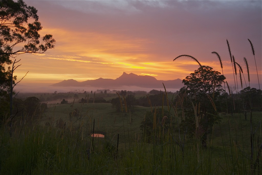 mt-warning-sunrise
