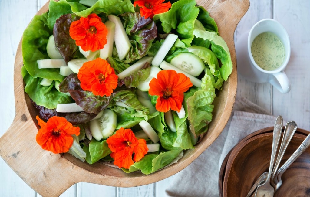 nasturtium and kohlrabi salad with creamy lemon-dill dressing-12